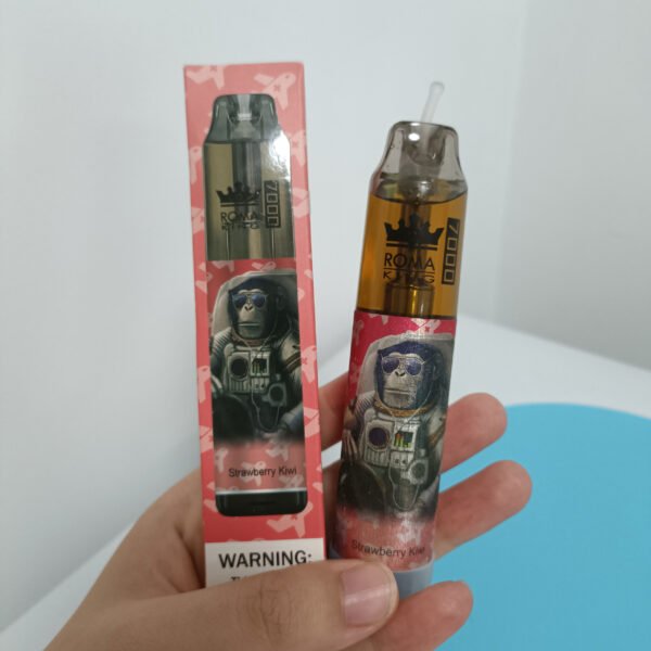 Netherlands Top Sale ROMA KING 7000 Puffs Disposable vape Wholesale