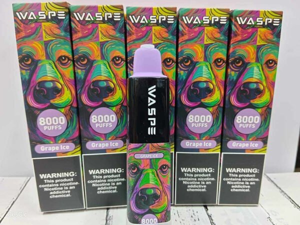 Disposable Vape 8000 Puffs