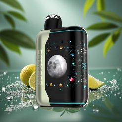 GEEK BAR Platinum 25000 Puff Miami Mint 20ml