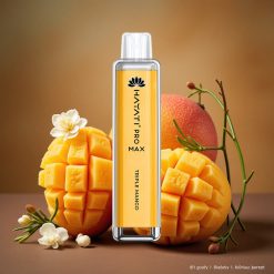 Hayati Pro Max 4000 Tupaa Käyttöön Kertakäyttöinen Vape Kolmois Mango 1400mAh